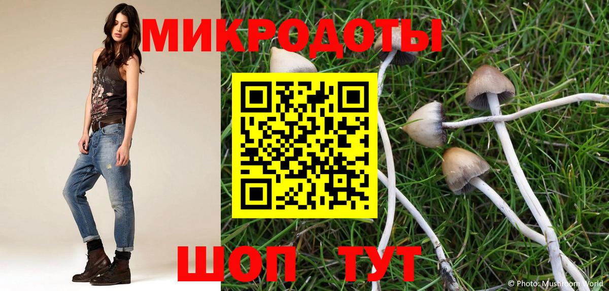 Псилоцибиновые грибы Psilocybine cubensis Реутов