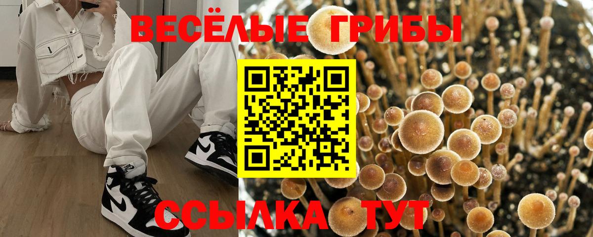 Псилоцибиновые грибы Cubensis  Псилоцибиновые грибы Psilocybine cubensis  Вход с VPN  Реутов 
